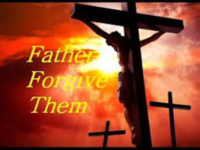 The Seventh Sunday of Ordinary Tim